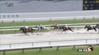 ペプチドソレイユ　京都・4歳以上2勝クラス　2024年5月26日