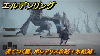 エルデンリング　凍てつく霧、ボレアリス攻略！氷結湖　ボス攻略　【ELDEN RING】