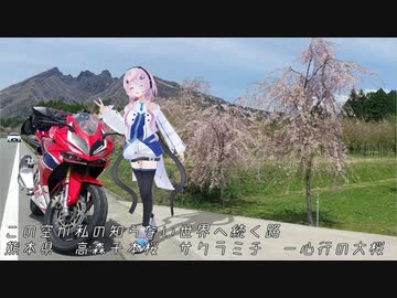 【CeVIO車載】この空が私の知らない世界へ続く路　熊本県　高森千本桜　サクラミチ　一心行の大桜