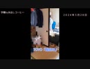 暴れるチンパンジー その2