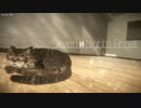【最終回】怪異と一週間の同居生活【Seven nights ghost】【初見実況】 part4