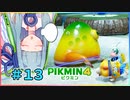 ピクミンだって名前が欲しいっ！ #13【PIKMIN4】