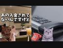 猫ミーム実話　医療詐欺！実質無料の罠　＃猫ミーム　＃実話　#歯科衛生士 　＃病院　＃詐欺　＃マウスピース　＃ローン