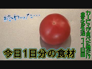 カービィが食べたものしか現実で食べられない生活 11日目(現実ご飯編)【星のカービィ ディスカバリー】