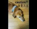 愛犬と共にお送りする零HARDモード実況プレイ動画 part5