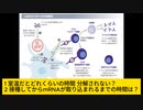 mRNAワクチンは室温ではどれくらい持つ？mRNAが取り込まれるまでの時間は？「免疫がつく」は具体的には？
