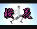 遅咲きの桜に立ち向かう男