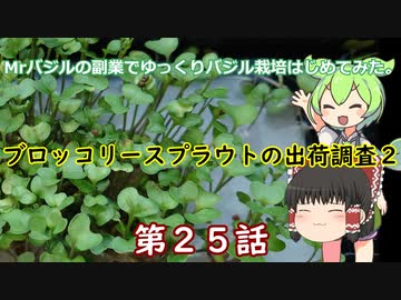 ２５話Mrバジルの副業でゆっくりバジル栽培始めてみた。