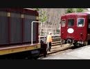 わたらせ渓谷鐡道 トロッコわたらせ渓谷号 足尾駅 での 入れ替え