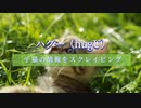 ペット・里親募集！ハグー(hugU)から子猫の情報をスクレイピングする