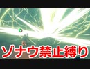 ゾナウ禁止縛りpart29【ティアキン/制限プレイ/ゼルダの伝説ティアーズオブザキングダム】