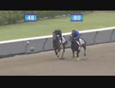 【2024 北海道トレーニングセール】公開調教第3クルー