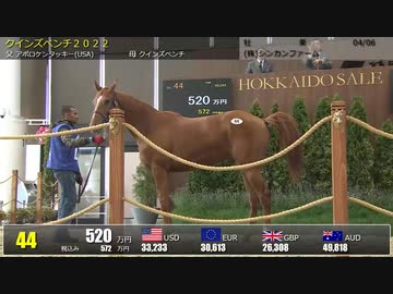 【2024 北海道トレーニングセール】上場番号31～60