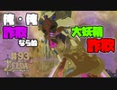 【ゼルダの伝説 BotW】#93　世界の馬の神　大妖精のフリをする