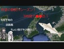 アリミリ姉妹の淡路島海釣り日記Part.2