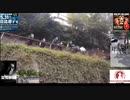 知らなかったでは済まされないWHO