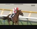 2024 日本ダービー　カウントダウンＴＣつき