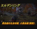 エルデンリング　黄金樹の化身攻略　小黄金樹（南西）　ボス攻略　【ELDEN RING】