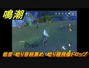 鳴潮　低音・唸り音核集め　唸り種残像ドロップ　＃５０