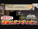 【FFタクティクス】ガフガリオンさんの魂は僕が引き継…え？ライオネル城（城門前）【FFT 初見実況】#30