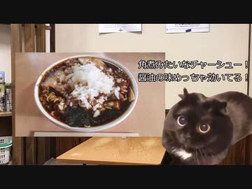 【猫ミーム】初めて竹岡式ラーメンを食べた結果...
