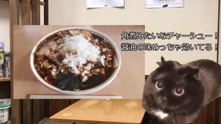 【猫ミーム】初めて竹岡式ラーメンを食べた結果...