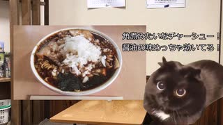 【猫ミーム】初めて竹岡式ラーメンを食べた結果...