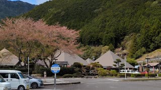 「道の駅おくとろ」で聞くカエルの鳴き声 #shorts