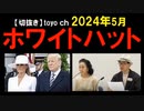 2024年5月情報　東京都知事選挙に出馬･･･。とりあえず様子見･･･。ゲセラ法？