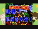 ドンキーコング　～決戦！ふぶきの谷！～