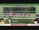 ダビスタswitch 実況（９６）