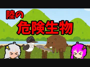 【VOICEROID解説】ゆかり先輩と見る危険生物【陸編⑯】