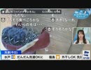 【魚住茉由】独特のセンスでツバメのヒナたちにも名前を付けたまゆちゃん