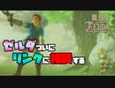 【ゼルダの伝説 BotW】#94 リンクの最後の記憶　ゼルダ姫がリンクに悩みを相談する