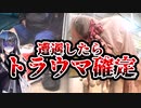 【閲覧注意】電車で見つかったヤバすぎる人たち　正体は〇〇だった…？　【左足壊死ニキ/エノーマスフェイス/enormousface】