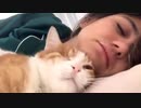 最高すぎる、猫がいる朝の生活