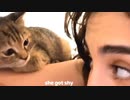 人懐っこくてシャイな子猫　「見ないで」