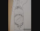 芋焼酎を弾いてみた