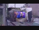 柴又×「しかのこのこのここしたんたん」OPテーマイントロ