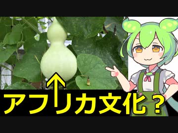 【ずんだもん解説】実はアフリカ原産だった野菜について解説！【パート3】
