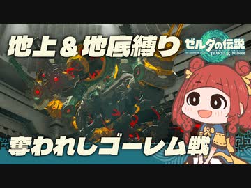 【ゼルダの伝説TotK_地上＆地底縛り】奪われしゴーレムが倒せねえ #16