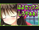 【エロゲ実況】421　まぐわう準備を整えたのに焦らしプレイ中のエロゲヒロイン【プライマルハーツ】