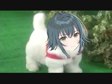 愛犬ロボ「月村手毬」