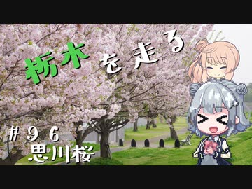 【CeVIO車載】栃木を走る#96　思川桜