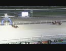 2024年5月30日門別競馬7R ＪＲＡ認定ウィナーズチャレンジ１ ベラジオゼロ