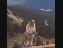 ビーバー　逆流