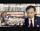 【及川幸久氏 Breaking News】WHO世界保健総会開幕  パンデミック条約は終わってなかった。