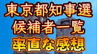 20240528_【東京都知事選候補者一覧】知事になるのは誰？？ほとんどのユーチューバーが避けて通る、政治的発言をあえてぶちかますライブ！