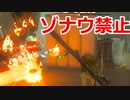 ゾナウ禁止縛りpart30【ティアキン/制限プレイ/ゼルダの伝説ティアーズオブザキングダム】