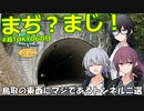 【#超TOKYO6の日】JKが名付けた？鳥取のトンネル二選【車載と解説】